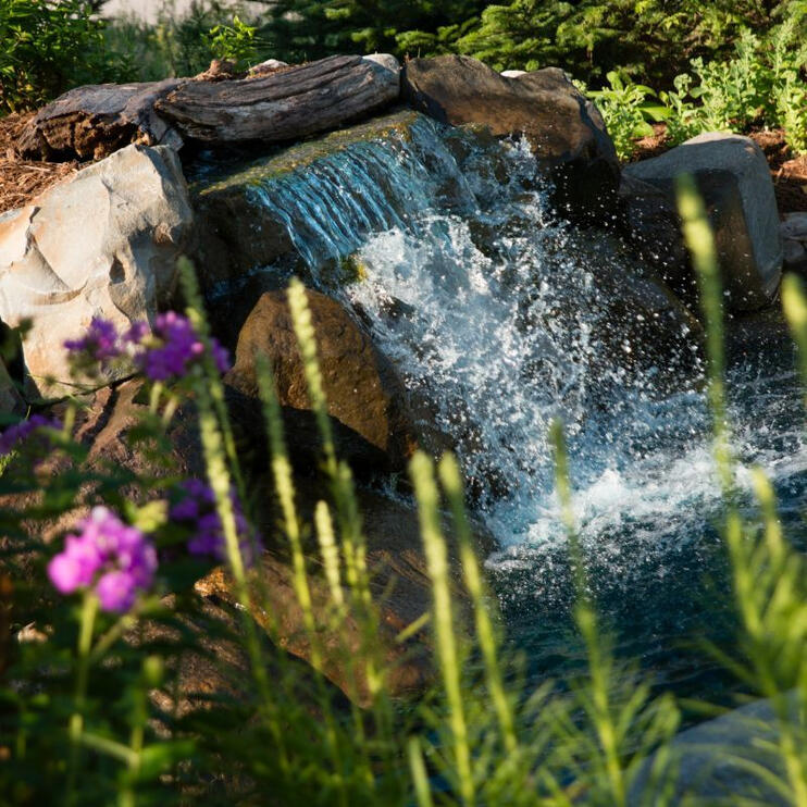 Enjoy the beautiful landscaping